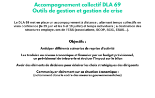 Accompagnement collectif DLA 69: Outils de gestion et gestion de crise